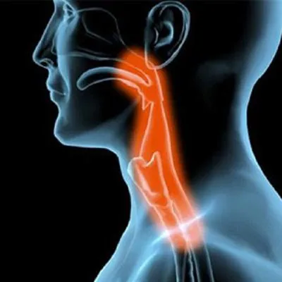 IL TRATTAMENTO OSTEOPATICO DELLA DEGLUTIZIONE