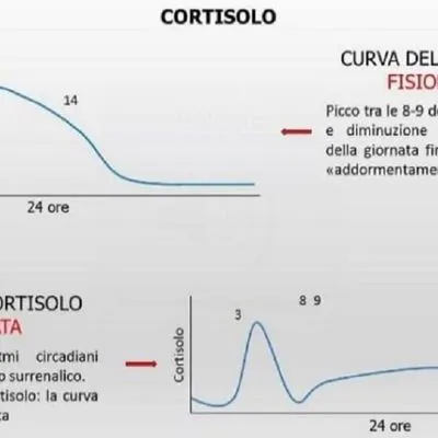 Cortisolo e infiammazione